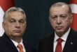 What Orban’s Defeat Tells Us About Erdogan’s Future
