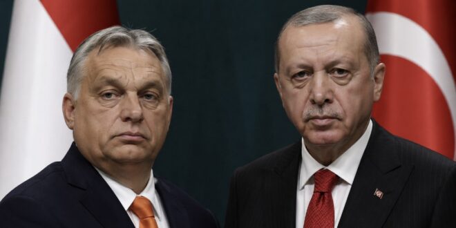 What Orban’s Defeat Tells Us About Erdogan’s Future