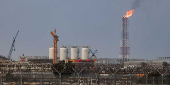 The Politics of Energy Transition: How Gulf States are Preparing for a Post-Hydrocarbon Future