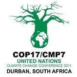 COP17’s Biodiversity Finance Gap Exposes the Distance Between Global Pledges and Delivery